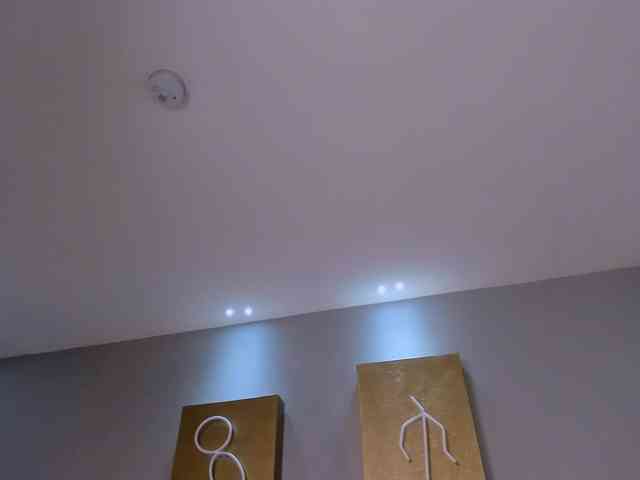 MollyJones webcam