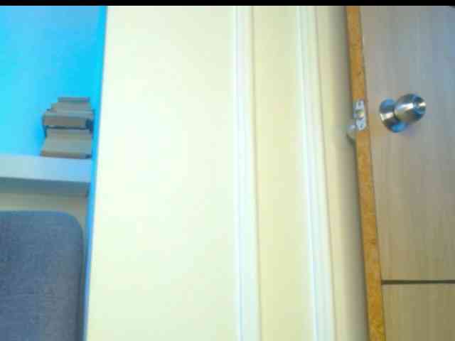 pamelapino webcam