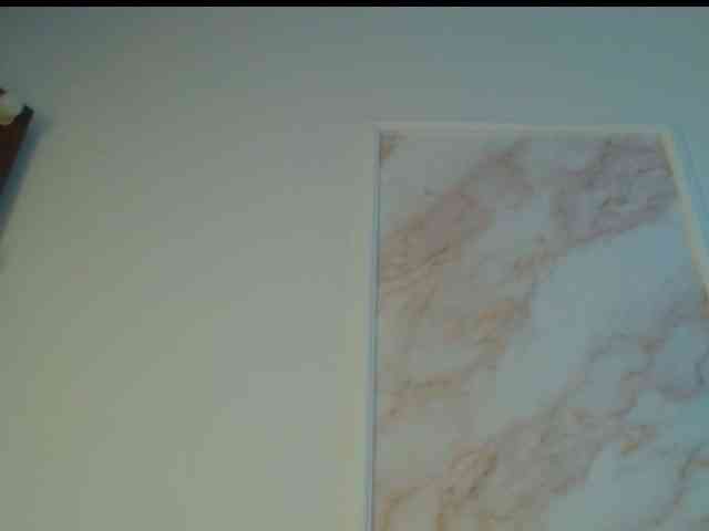 pamelapino webcam