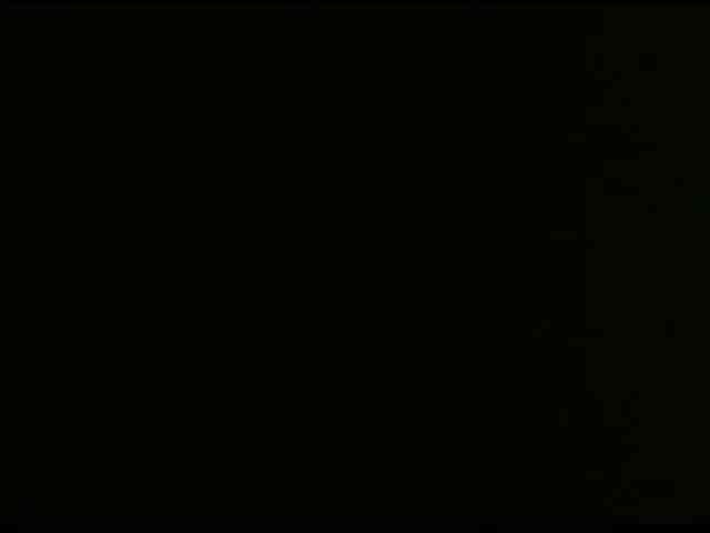 pamelapino webcam