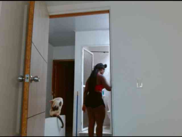 pamelapino