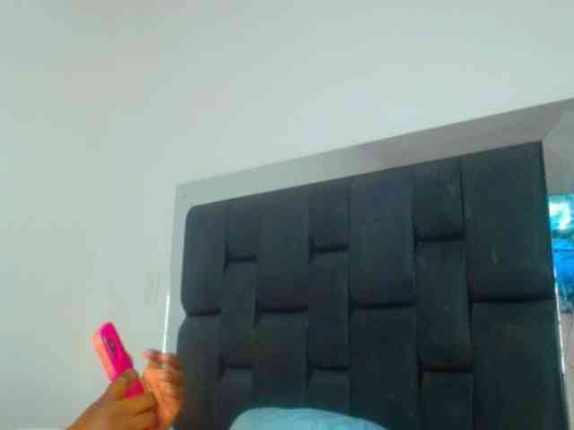 pamelapino webcam