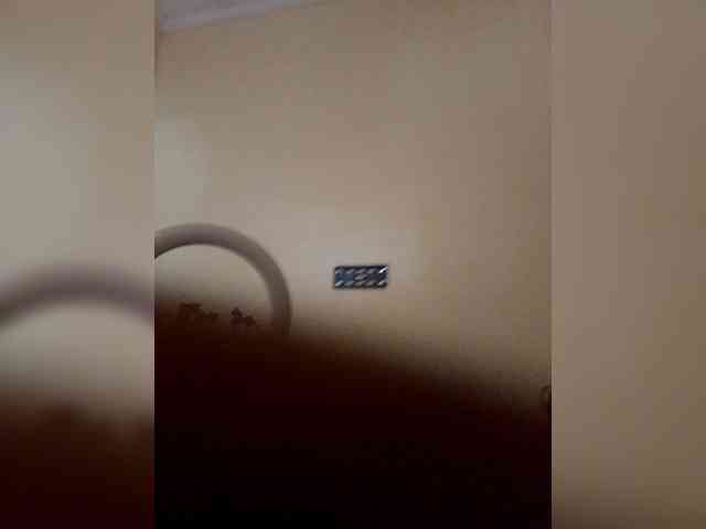 Chichid webcam