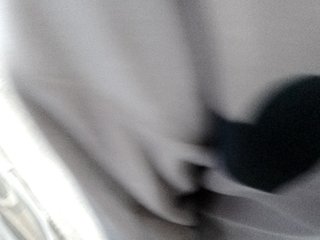Allisa769