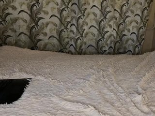 Allisa769 Porn Show