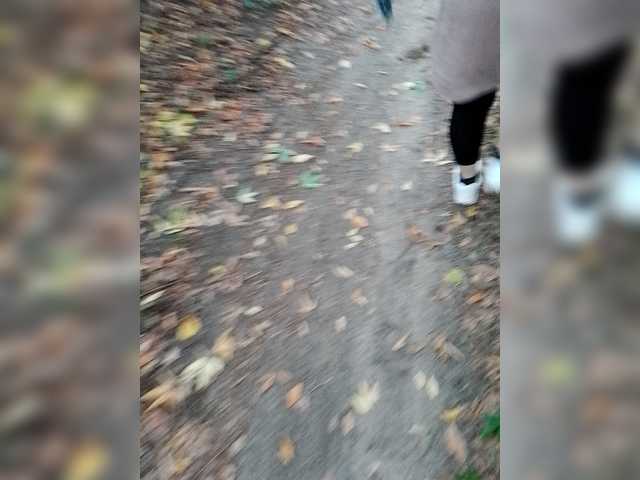 Allisa769