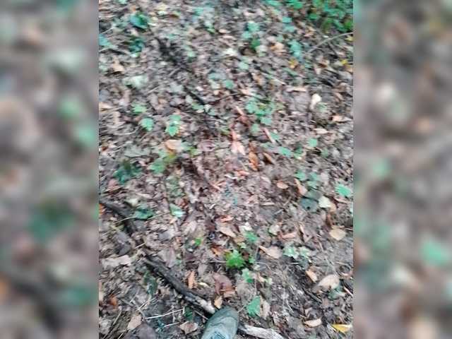 Allisa769