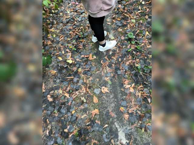 Allisa769