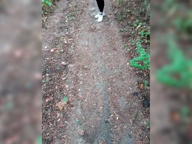 Allisa769
