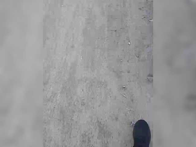 Allisa769