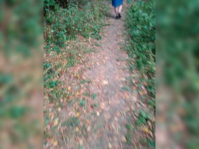 Allisa769