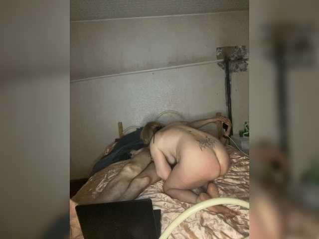 Allisa769