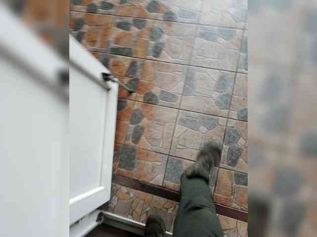 Allisa769