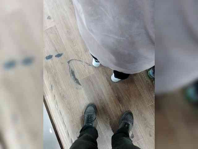 Allisa769