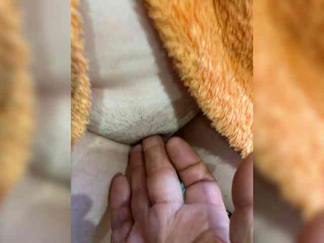 Allisa769