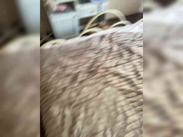 Allisa769 webcam