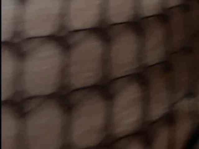 Allisa769 webcam