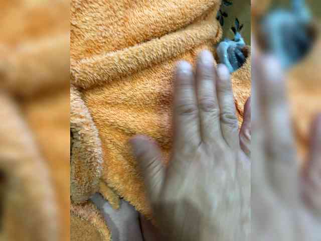 Allisa769
