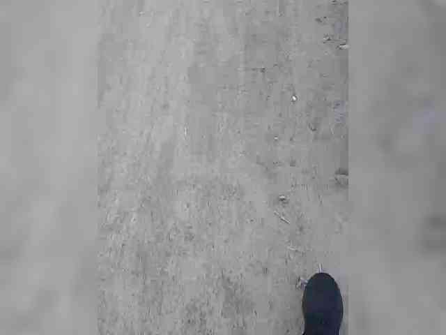Allisa769