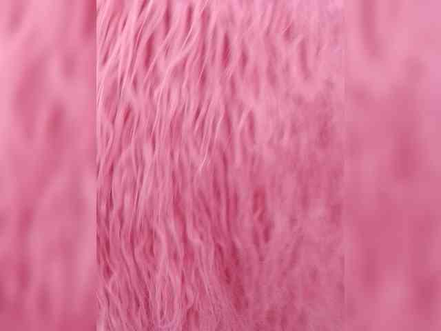 Allisa769