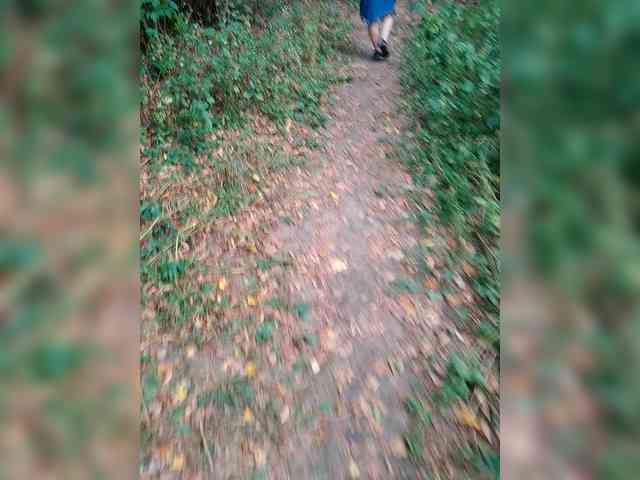 Allisa769