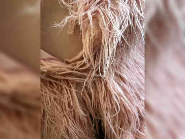 Allisa769 webcam