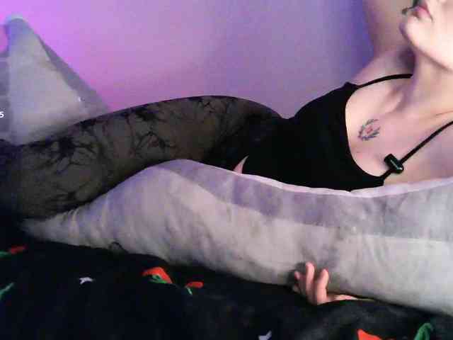 pollymorph webcam