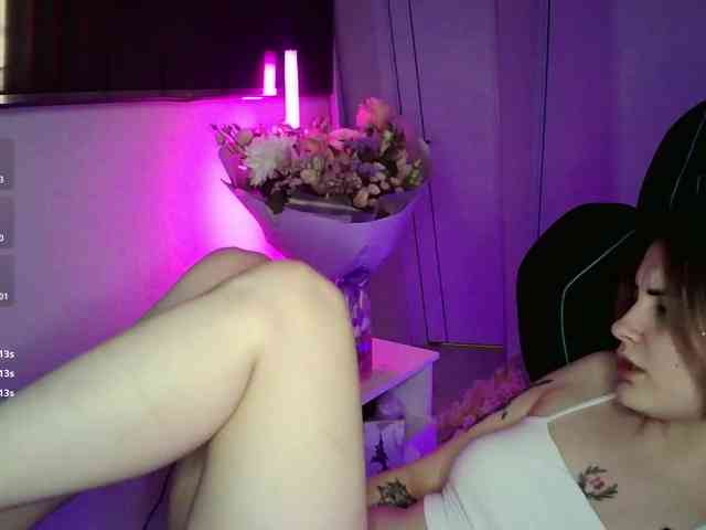 pollymorph webcam
