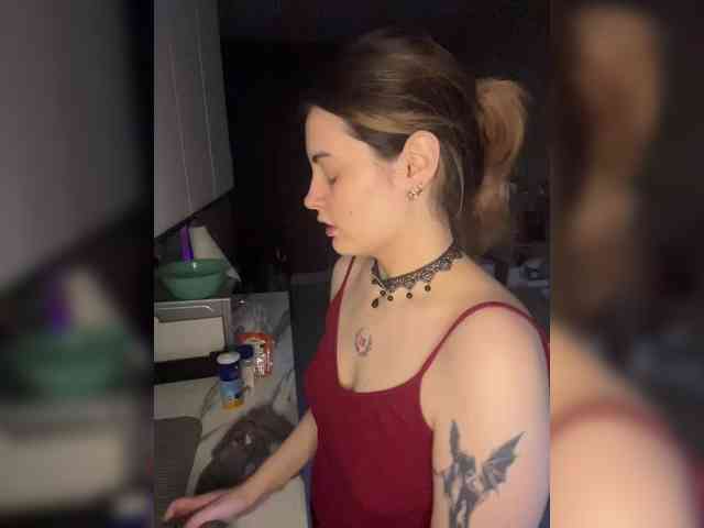 pollymorph webcam