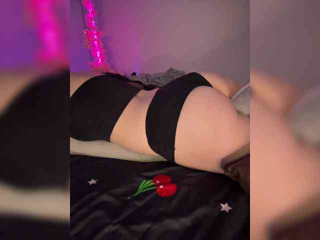 pollymorph webcam