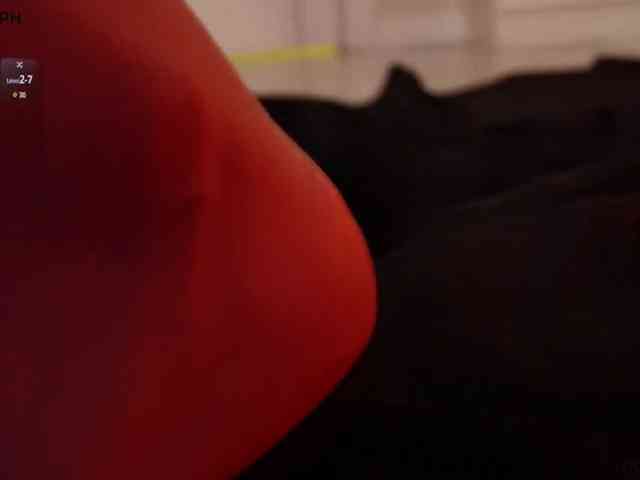 pollymorph webcam
