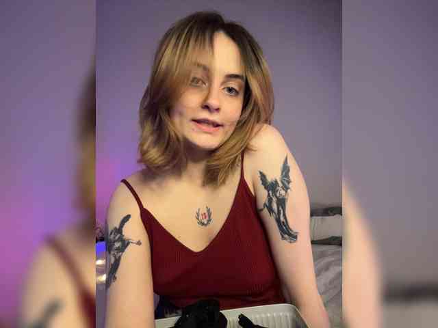 pollymorph webcam