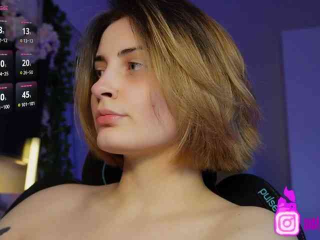 pollymorph webcam