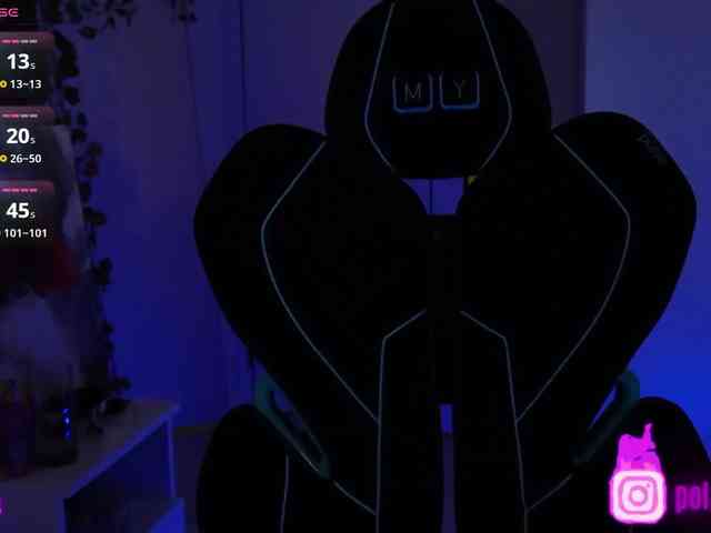 pollymorph webcam