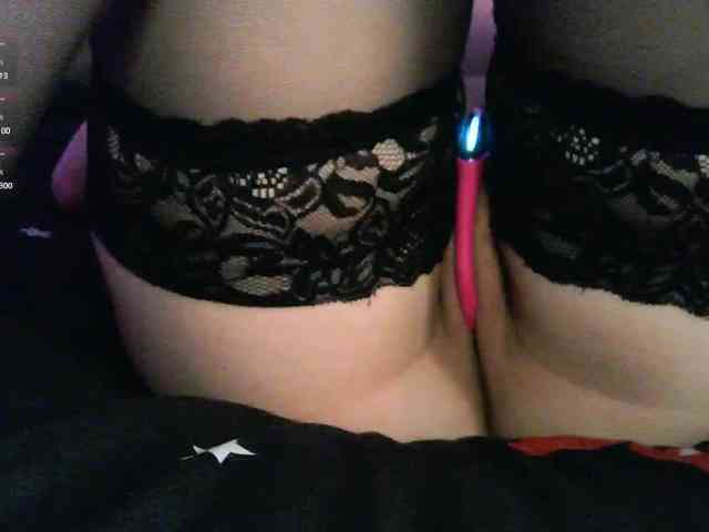 pollymorph webcam