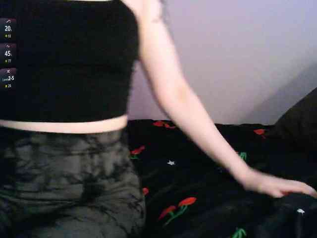 pollymorph webcam