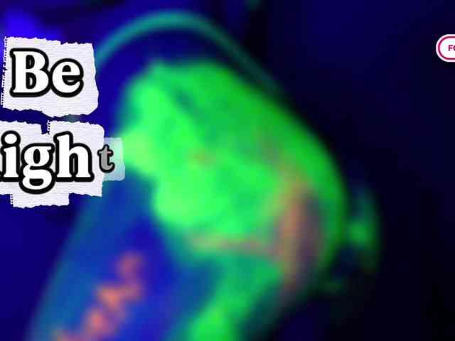 pollymorph webcam