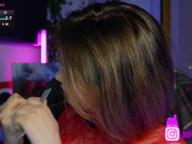 pollymorph webcam