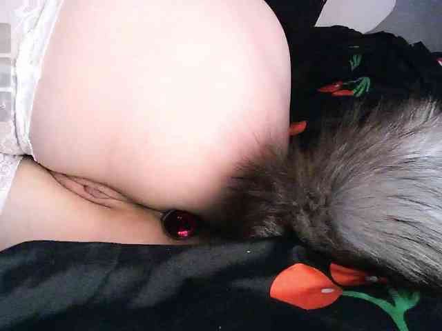 pollymorph webcam