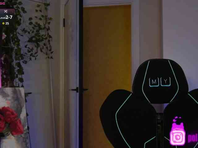 pollymorph webcam