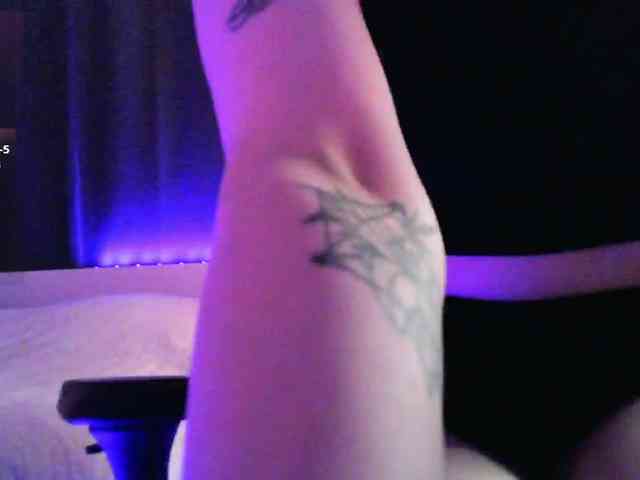 pollymorph webcam