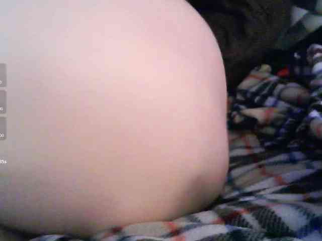 pollymorph webcam