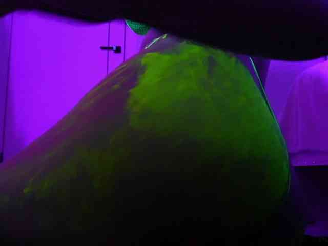 pollymorph webcam