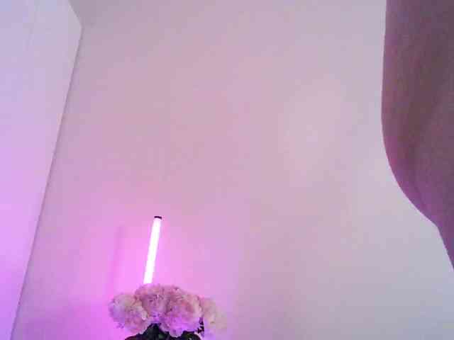 pollymorph webcam