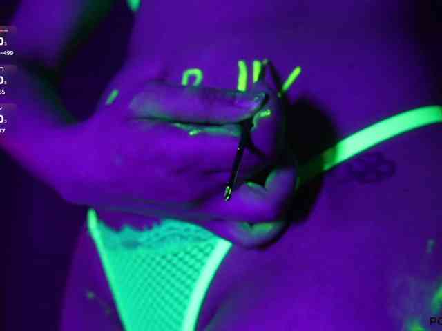 pollymorph webcam