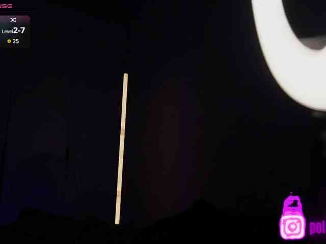 pollymorph webcam