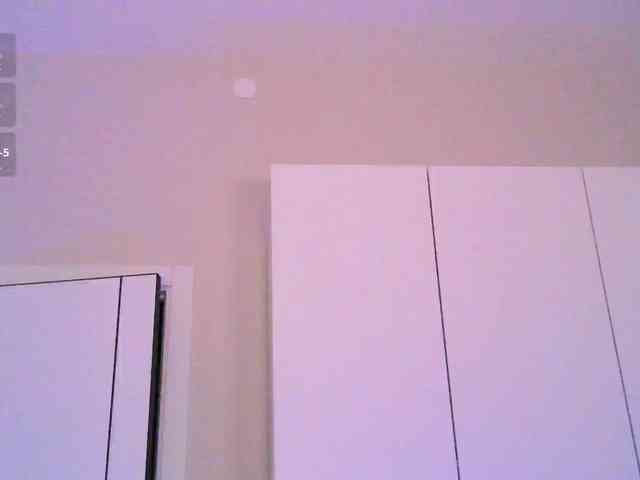 pollymorph webcam