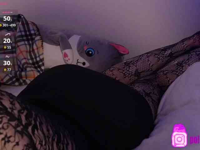 pollymorph webcam