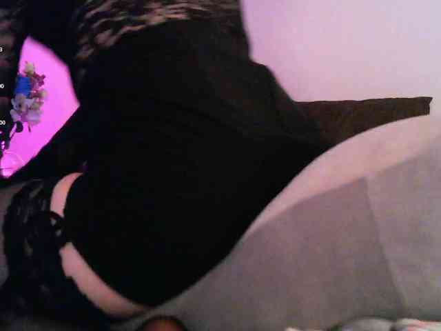 pollymorph webcam