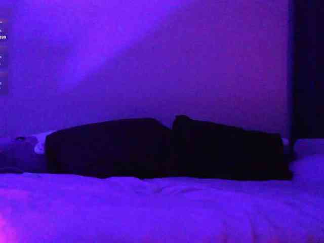 pollymorph webcam